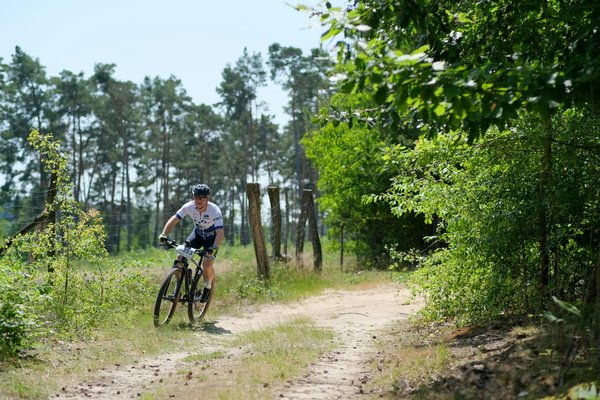Découvrez les meilleures expériences de parapente à annecy